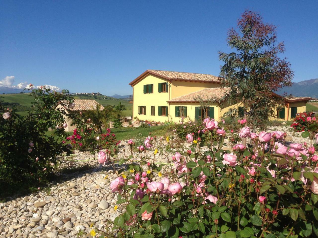 Il Frutteto Bed And Breakfast Ripattone エクステリア 写真